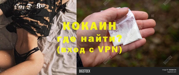 прущие грибы Абдулино