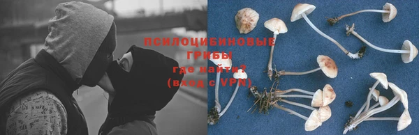прущие грибы Абдулино