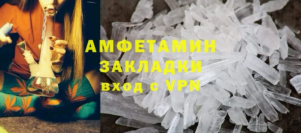 прущие грибы Приозерск
