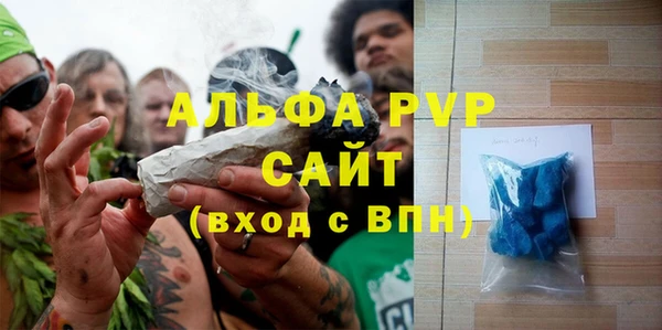 прущие грибы Абдулино