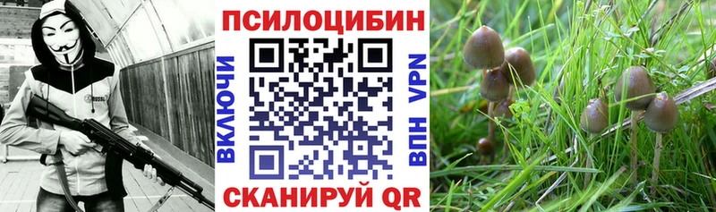 Галлюциногенные грибы ЛСД Агрыз
